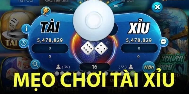 Bí quyết chơi tài xỉu hiểu luật chơi